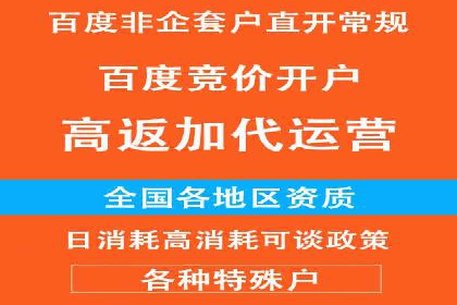 百度SEO推广公司案例汇编：实战技巧全解析